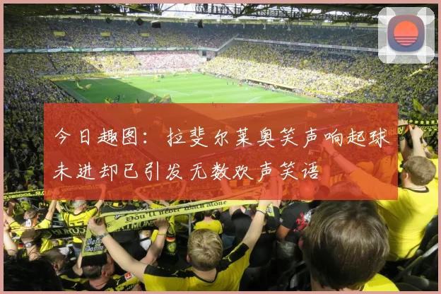 今日趣图：拉斐尔莱奥笑声响起球未进却已引发无数欢声笑语