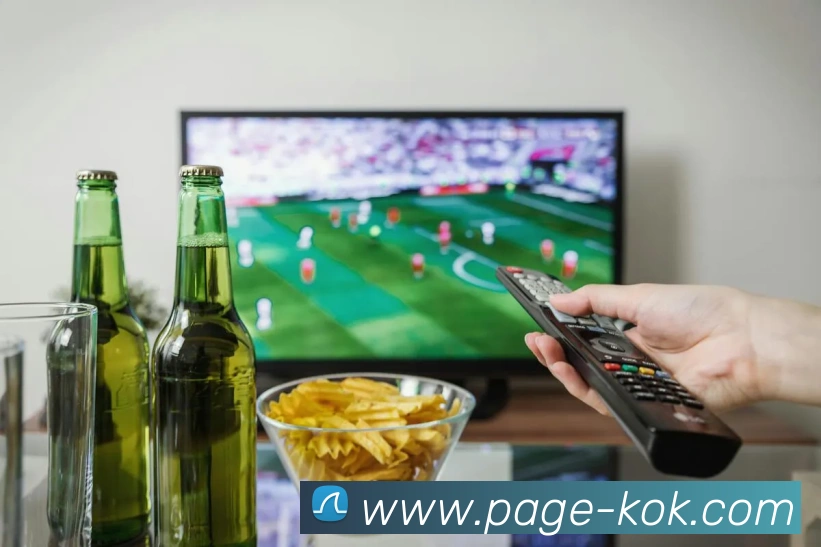 KOK体育APP 封面图